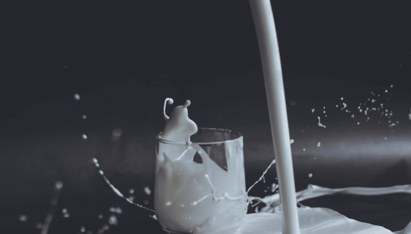 Thumbnail for Namibia’s milk production declines by 35% over five years