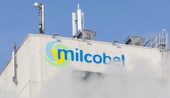 Thumbnail for U.S. fluid milk sales rise for first time since 2009 as dairy exports dip