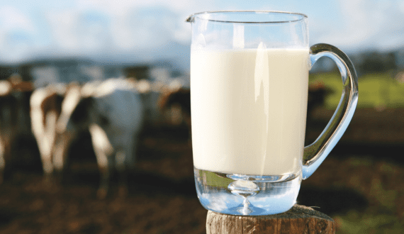 Thumbnail for Anthrax outbreak, cattle malnutrition threaten Nigeria’s livestock sector