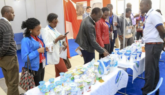 Thumbnail for Saputo Dairy issues 12-month notice to 13 dairy producers affecting 20M litres of milk