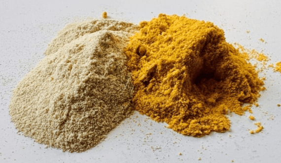 Thumbnail for Global dairy alternatives market to reach US$70.6B by 2031