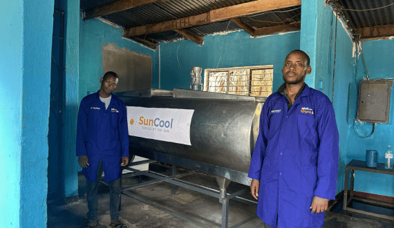 Thumbnail for Royal Milk launches solar energy initiative to boost sustainability