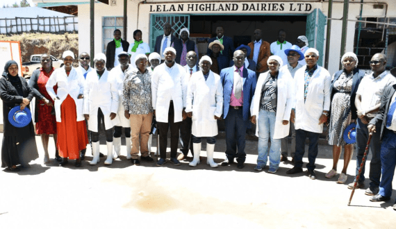 Thumbnail for Fonterra moves to divest consumer business, eyes IPO under Mainland Group