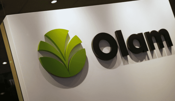 Thumbnail for Vivici secures US$34M to expand animal-free dairy operations