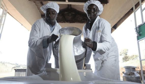 Thumbnail for Benni Foods expands in Uganda with new processing factory