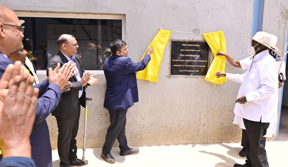 Thumbnail for New product innovations drive growth in the dairy industry