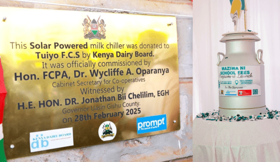 Thumbnail for KDB donates solar-powered chiller to launch ‘Maziwa ni School Fees’ programme