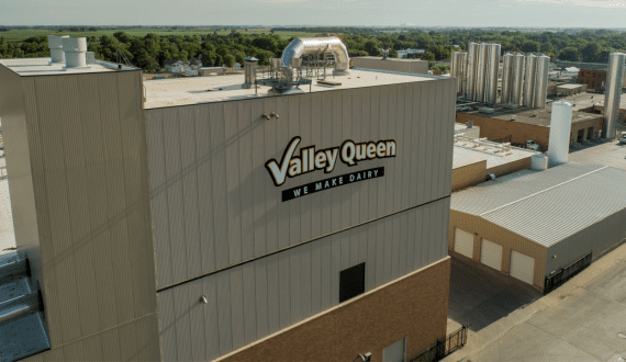 Thumbnail for Dairygold appoints Pat Laffan as new General Manager