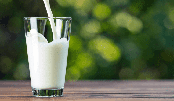 Thumbnail for Kenya boosts dairy industry with arrival of Brazilian Girolando embryos