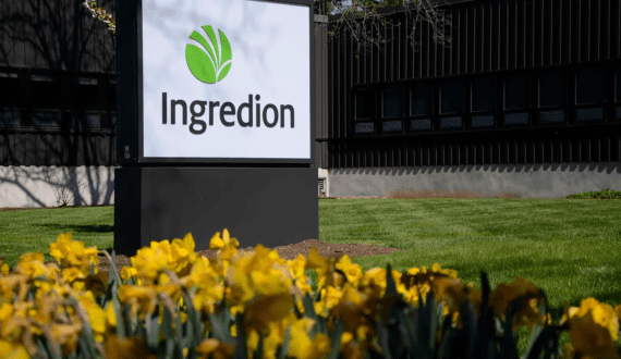 Thumbnail for Prinova appoints Richard McEvoy as Chief Executive Officer