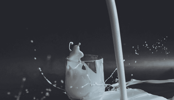 Thumbnail for Mother Dairy targets US$24B revenue by FY26 with new high-protein milk launch