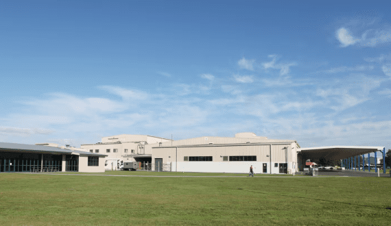 Thumbnail for Plant-based food innovators drive nutritional advances amid growing demand