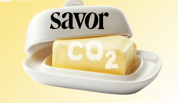 Thumbnail for Grupo Lala invests to boost milk consumption in Mexico