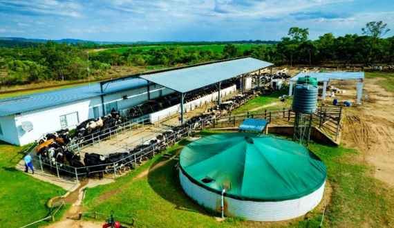 Thumbnail for Jaipur Dairy launches 23 new products, signs key MoU