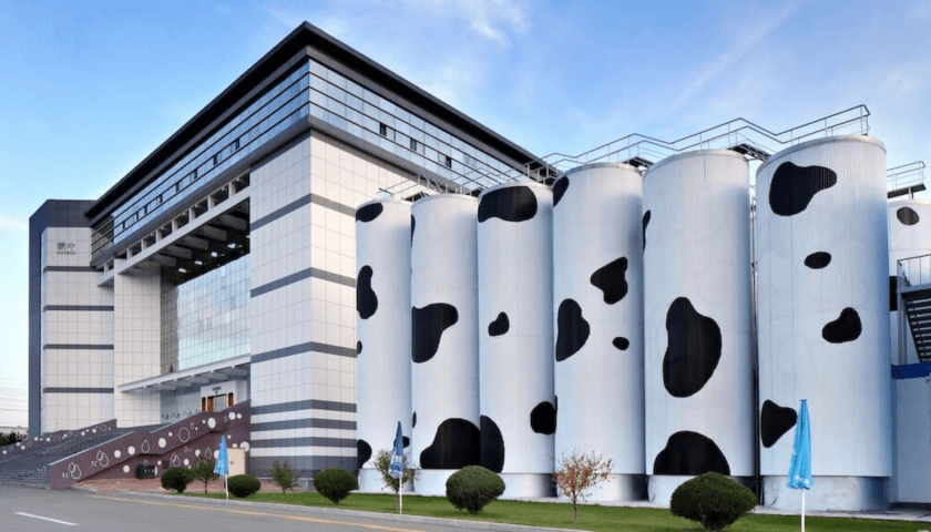 Thumbnail for Mengniu eyes African market expansion