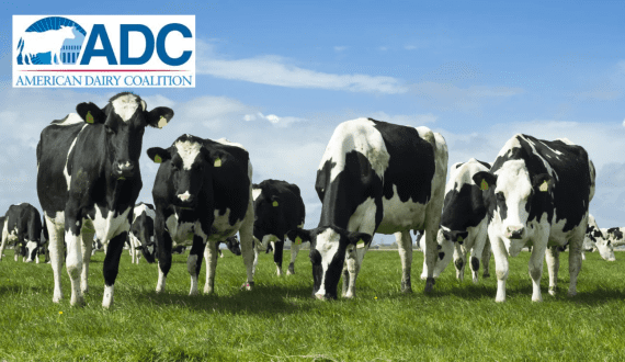 Thumbnail for American Dairy Coalition challenges FDA’s healthy labelling rule at Federal Register