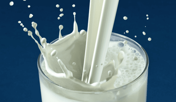 Thumbnail for Novonesis unveils its Vertera Velvet plant-based milk alternatives