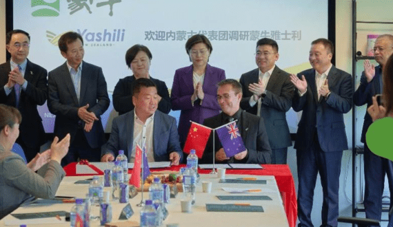 Thumbnail for Corona Food Industries unveils its new dairy chocolate bars