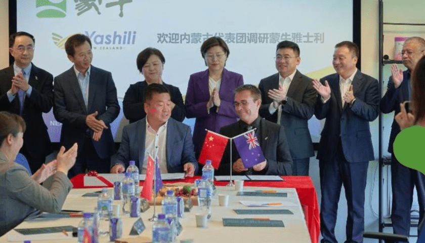 Thumbnail for Mengniu, Maui Milk partner to expand sheep milk exports & boost production