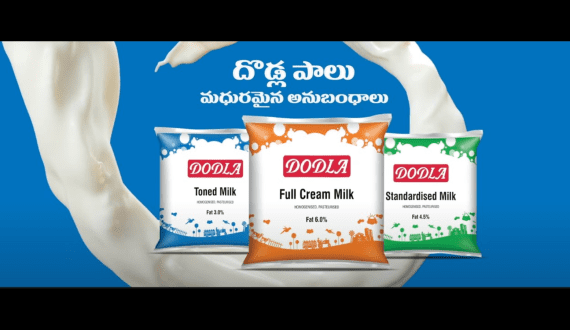 Thumbnail for Kenyan dairy industry to grow by 53% by 2028 through Nourishing Prosperity Alliance interventions