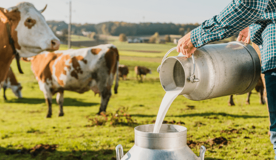 Thumbnail for Almarai, e& enterprise sign MoU to promote environmental sustainability