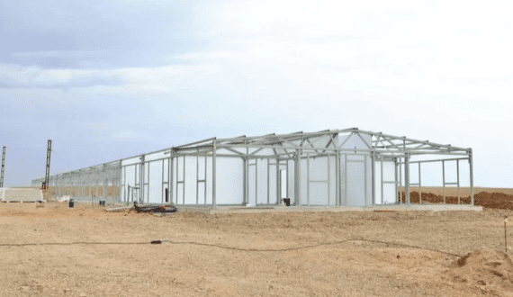 Thumbnail for Müller launches innovative organic programme to strengthen farmer supply chain