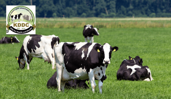 Thumbnail for Nestlé México achieves 94% recyclable plastic milestone in circular economy drive