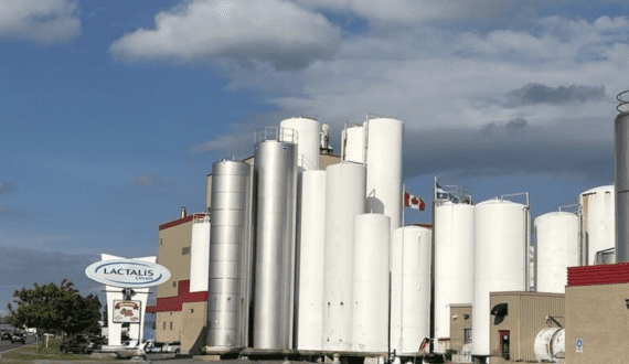 Thumbnail for Bega Group eyes Fonterra’s Oceania business assets