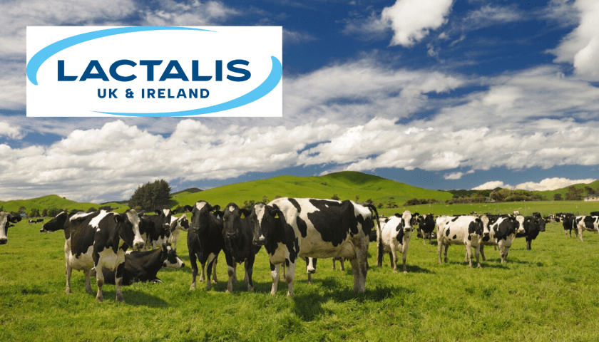 Thumbnail for Lactalis UK & Ireland unveils its latest sustainability progress update 2025