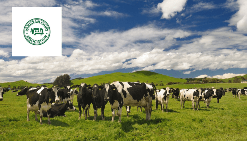 Thumbnail for Pakistan Dairy Association urges tax cut to revive formal milk sector