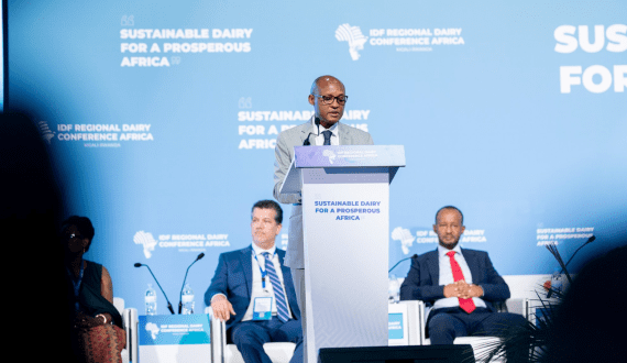 Thumbnail for Costa Rica’s National Animal Health Service simplifies dairy export for USA producers