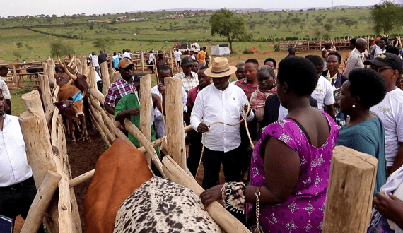 Thumbnail for Nestlé México achieves 94% recyclable plastic milestone in circular economy drive