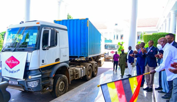 Thumbnail for Nigeria aims to double milk production by 2030