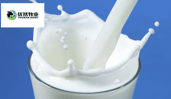 Thumbnail for FrieslandCampina unveils fast charger for electric milk truck