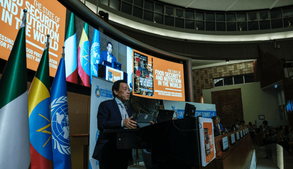 Thumbnail for FAO’s SOFI 2025 highlights uneven nutrition gains, cites inflation as key barrier