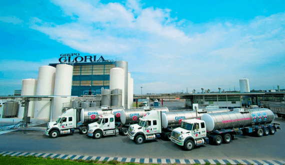 Thumbnail for USA researchers uncover genetic clue that could help stop foot-and-mouth disease