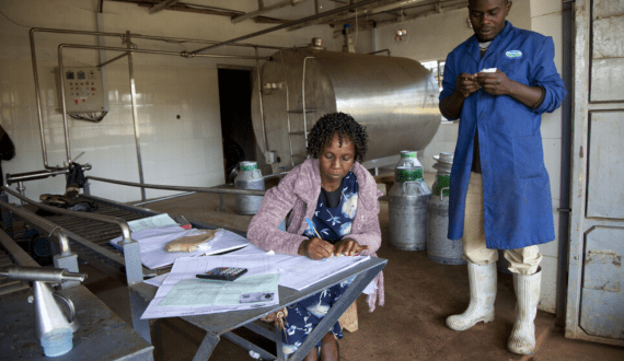 Thumbnail for IFAD, GCF launch US$358M DaIMA programme to transform East Africa’s dairy sector