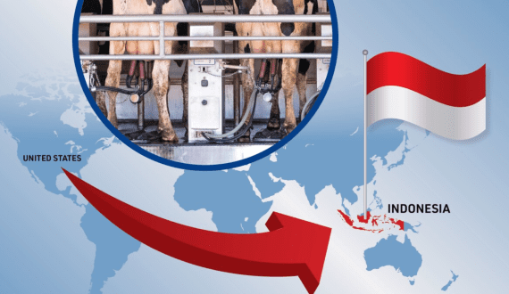 Thumbnail for Zimbabwe Government unveils initiatives to enhance dairy sector growth