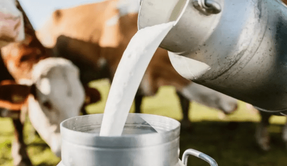 Thumbnail for Omiros Dairy Group expands with acquisition of A. Hadjipieris Ltd