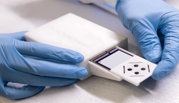 Thumbnail for Researchers develop portable food sensor to detect both pathogens, chemical contaminants