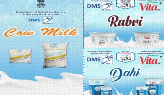 Thumbnail for Arla Foods invests US$58.41M to grow cheese market in Bahrain site