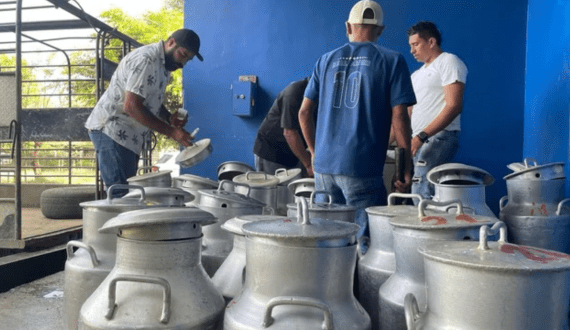 Thumbnail for Arla Foods invests US$58.41M to grow cheese market in Bahrain site