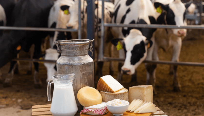 Thumbnail for Food Safety Inspectorate halts dairy production at Eco Milk Group