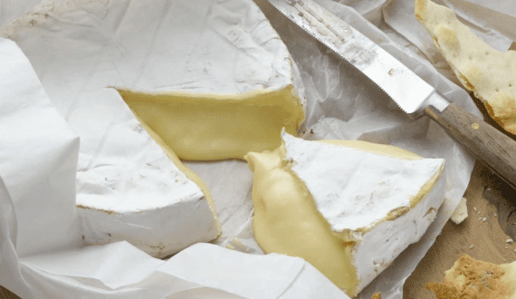 Thumbnail for French authorities recall cheeses linked to two fatal Listeria cases