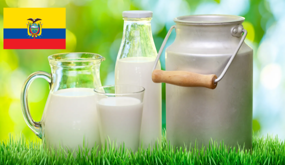 Thumbnail for Reny Picot invests US$9.31M in its Zamora Plant