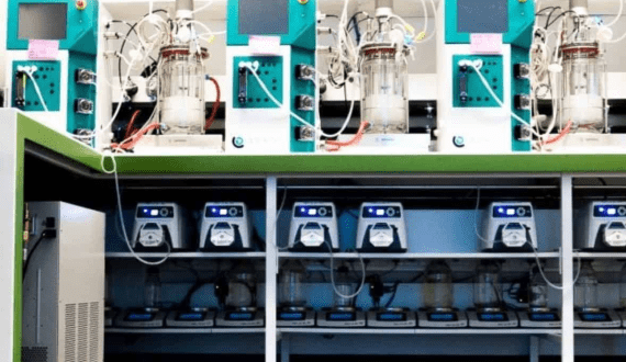 Thumbnail for Federal Ministry of Livestock Development, NNDC partner to slash US$1.5B milk imports