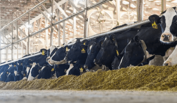 Thumbnail for SADAFCO reports net profit of US$31.36M M in Q2 2025