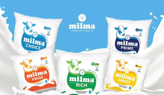 Thumbnail for Global Dairy Trade (GDT) appoints Lloyd Cartwright as new Chief Executive Officer