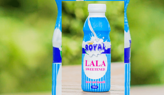 Thumbnail for Federal Ministry of Livestock Development, NNDC partner to slash US$1.5B milk imports