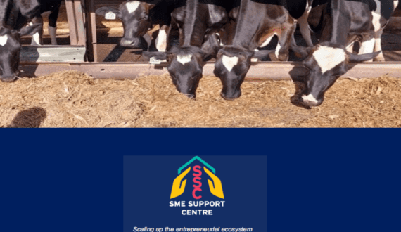 Thumbnail for Bio Foods launches new Orange Biscuit Yoghurt